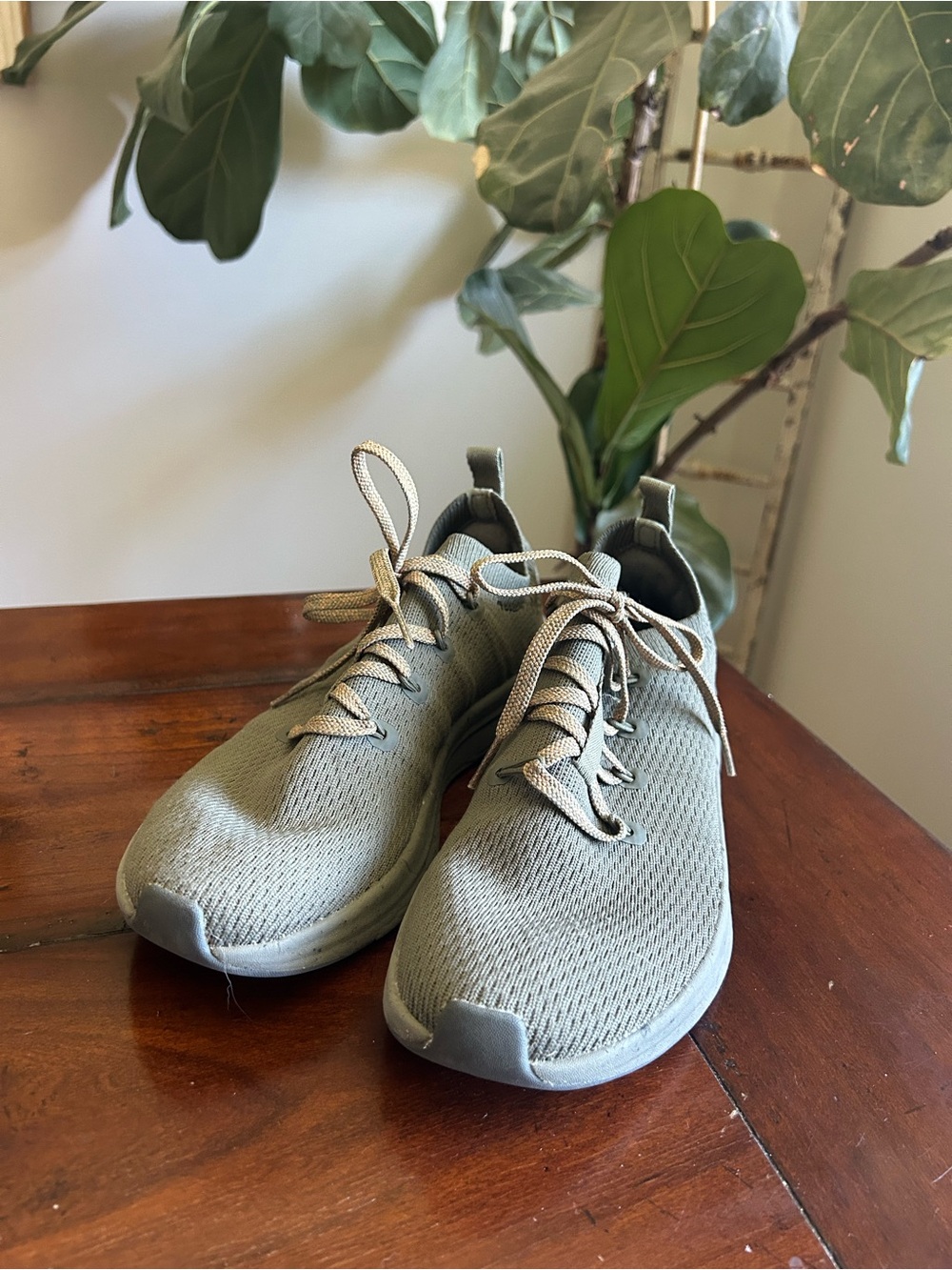 REI trailbed insole